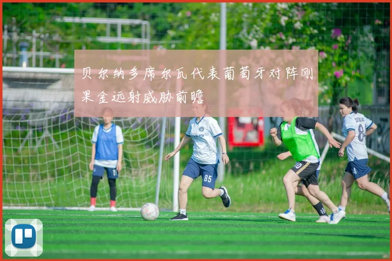 贝尔纳多席尔瓦代表葡萄牙对阵刚果金远射威胁前瞻