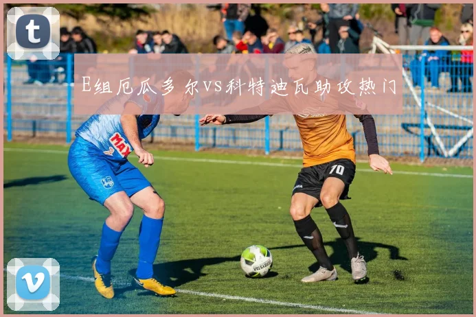 E组厄瓜多尔vs科特迪瓦助攻热门