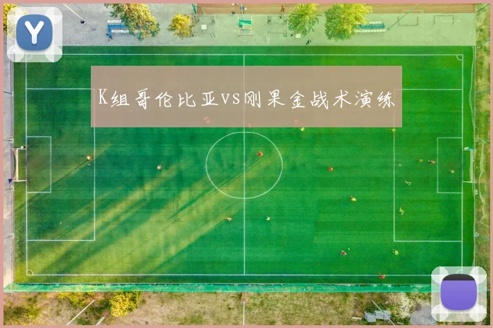 K组哥伦比亚vs刚果金战术演练