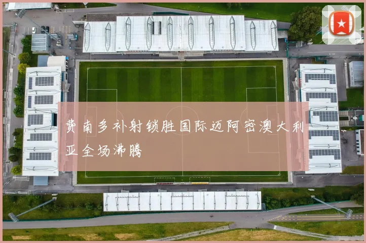 费南多补射锁胜国际迈阿密澳大利亚全场沸腾