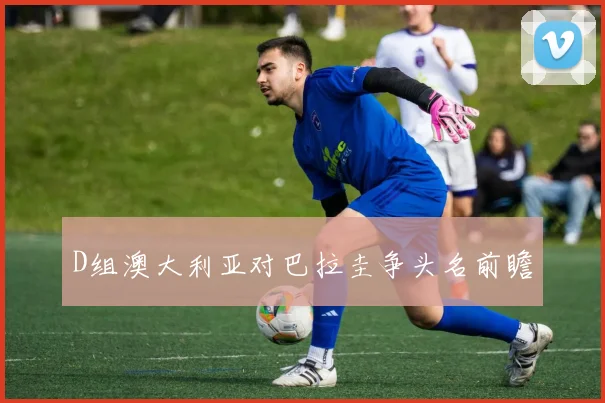 D组澳大利亚对巴拉圭争头名前瞻