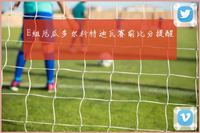 E组厄瓜多尔科特迪瓦赛前比分提醒
