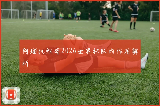 阿瑙托维奇2026世界杯队内作用解析
