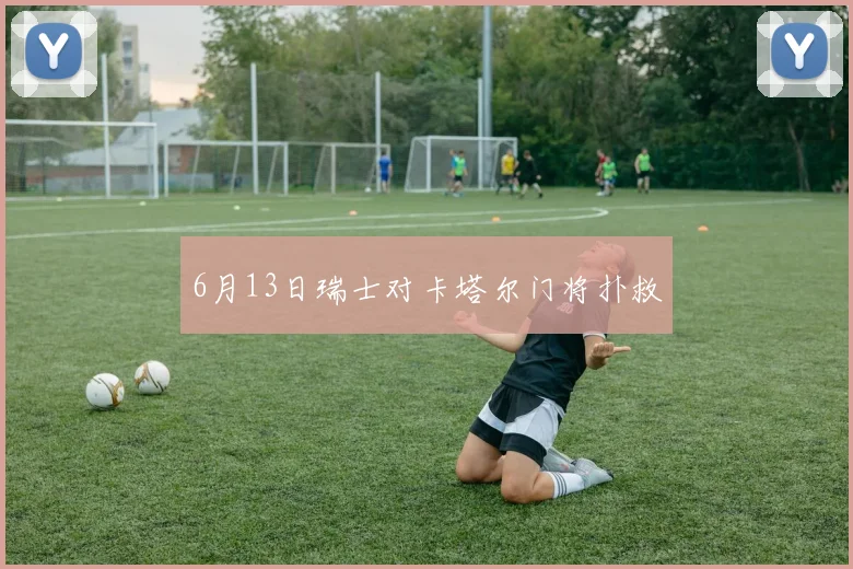 6月13日瑞士对卡塔尔门将扑救