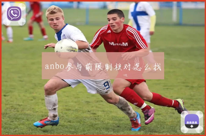 anbo参与前限制核对怎么找